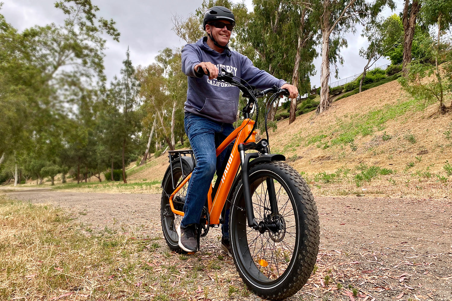 HAOQI Black Leopard Pro Fat Tire Electric Bike