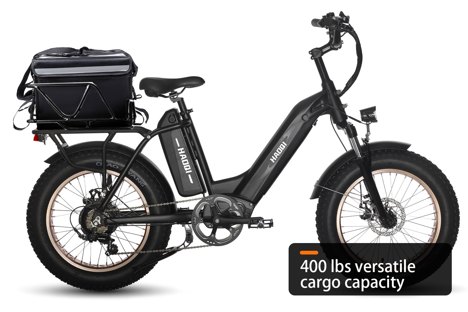 HAOQI Antelope Pro 750W Cargo Electric Bike