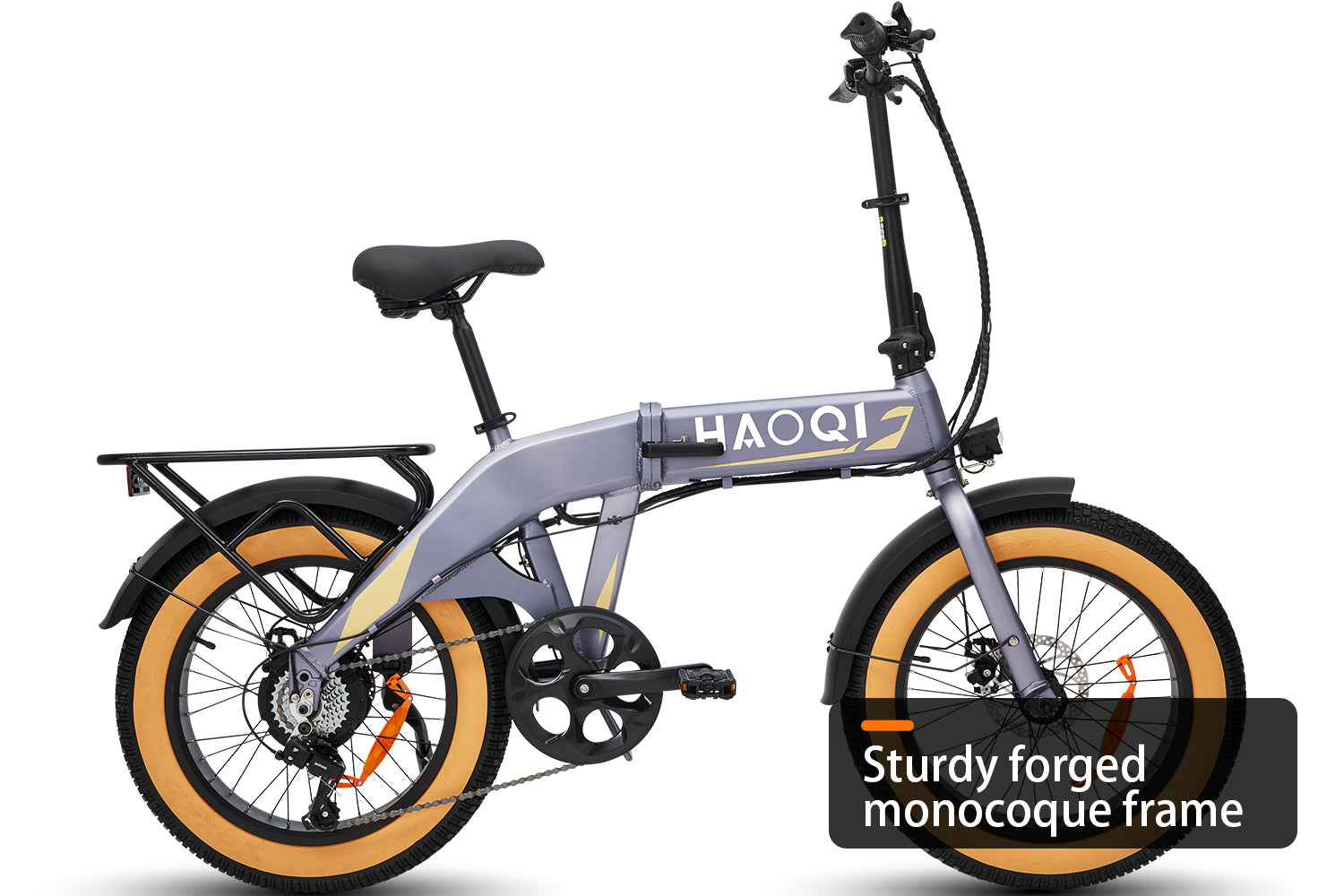 HAOQI Squirrel Folding Electric Bike