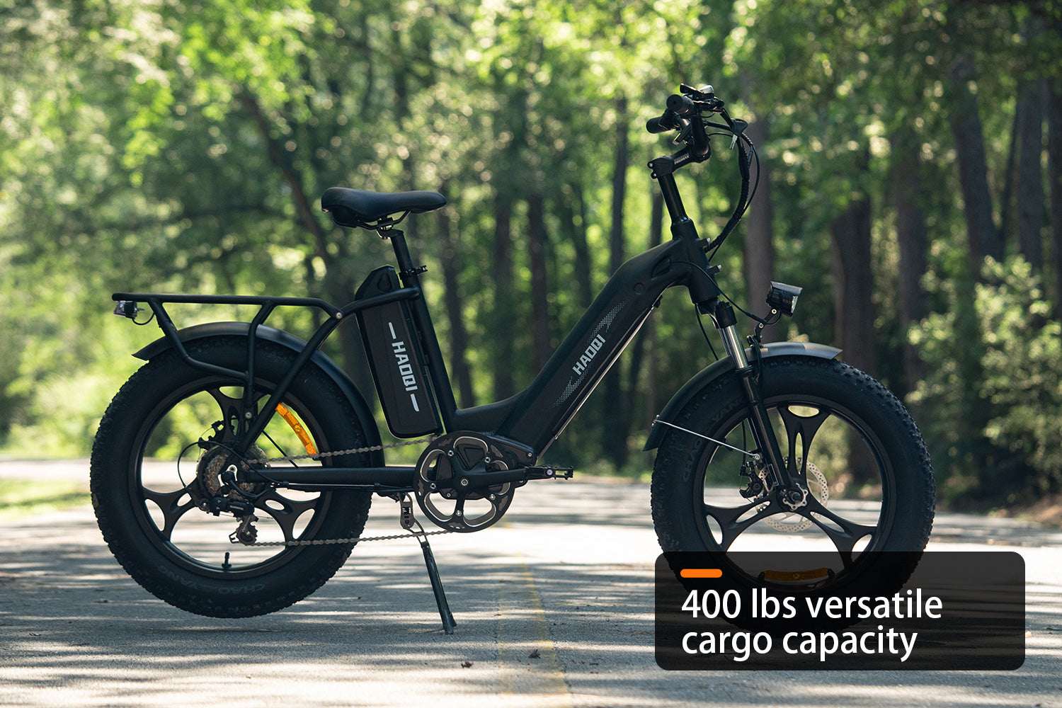 HAOQI Antelope 500W Cargo Electric Bike