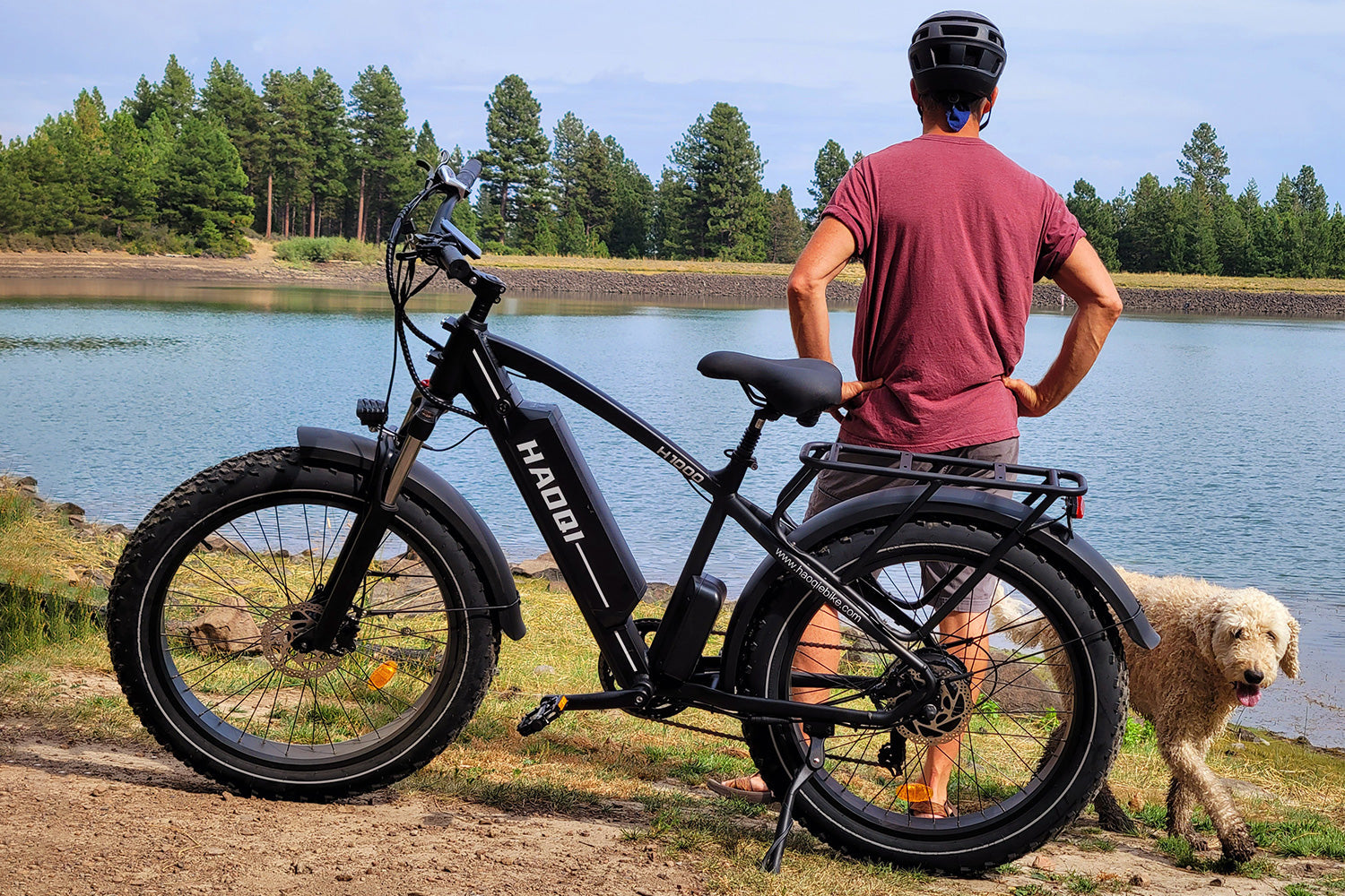 HAOQI Black Leopard Pro Fat Tire Electric Bike