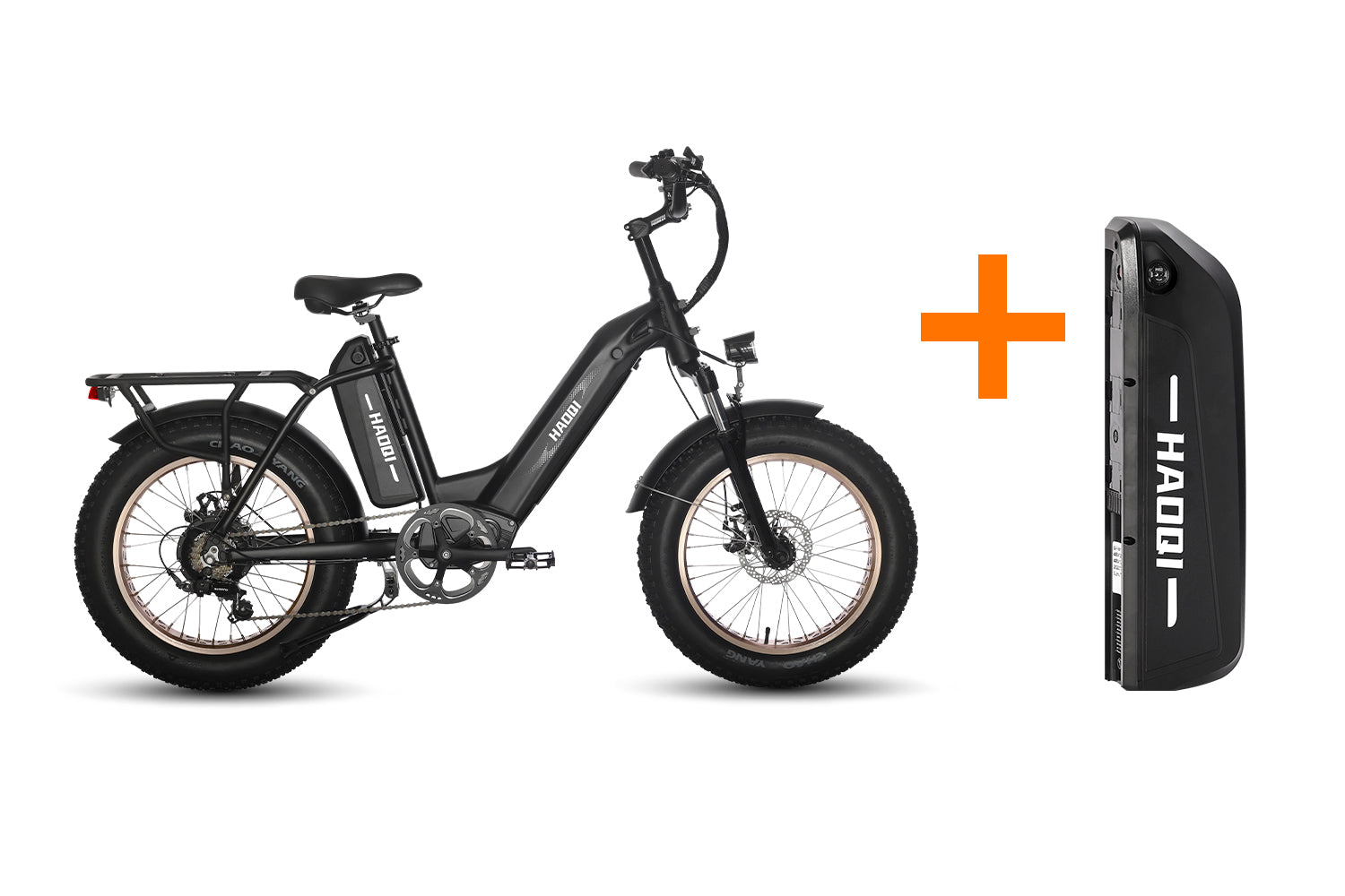 HAOQI Antelope Pro 750W Cargo Electric Bike