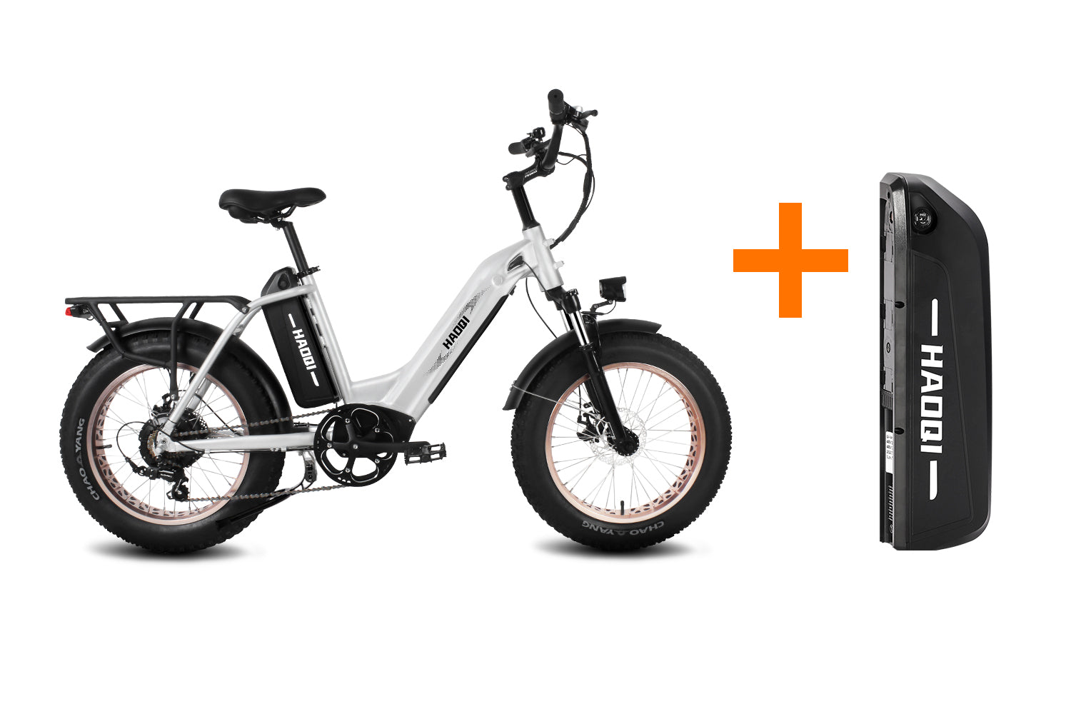 HAOQI Antelope Pro 750W Cargo Electric Bike