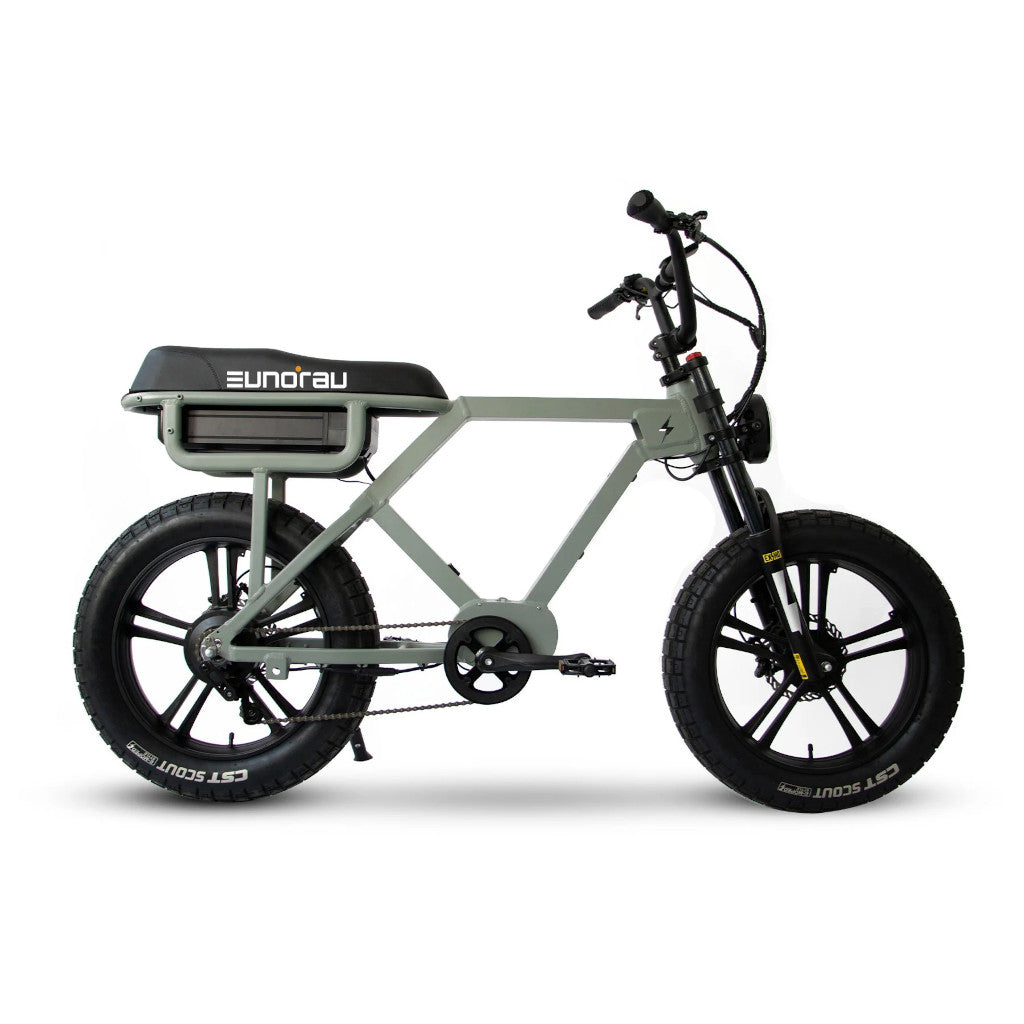 Eunorau Flash E-Bike - Electrocruisers