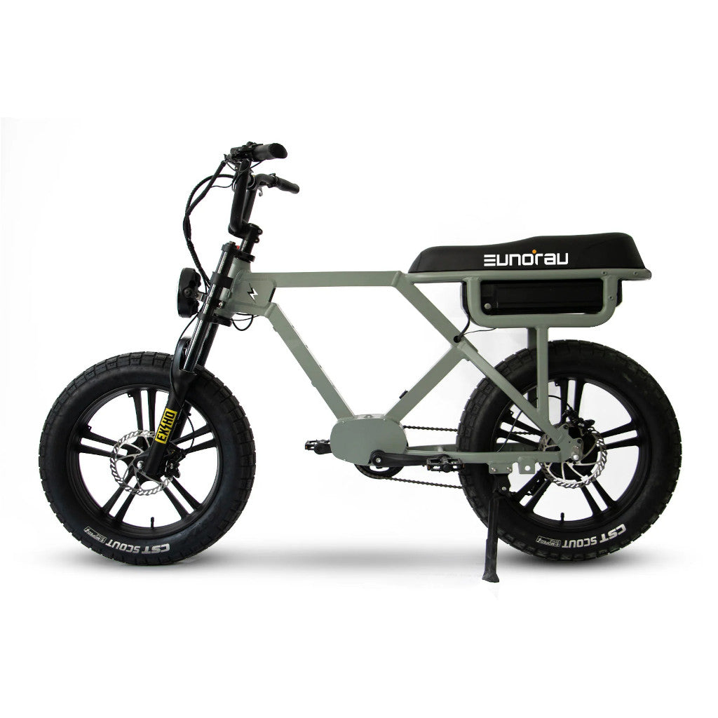 Eunorau Flash E-Bike - Electrocruisers