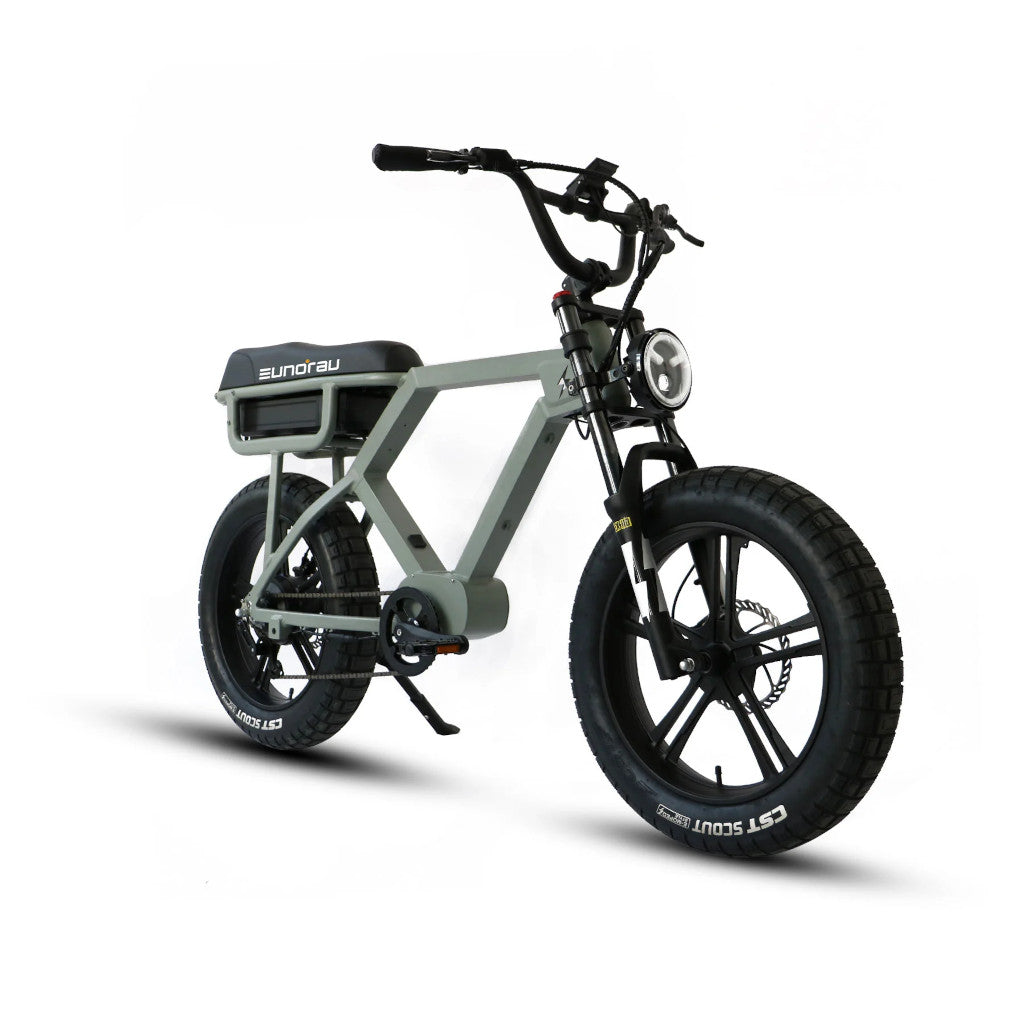 Eunorau Flash E-Bike - Electrocruisers