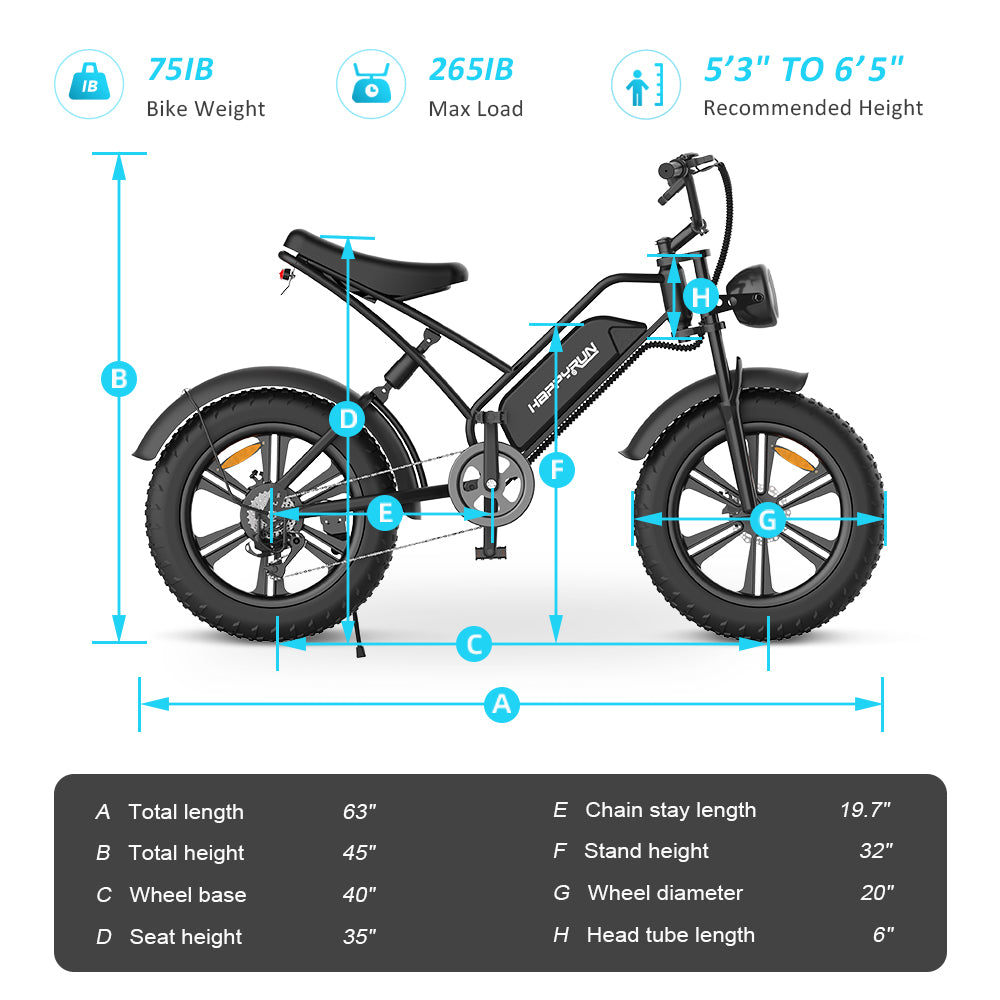 HappyRun G50 Electric Bike Cargo Black City E-bike For Sale Tank