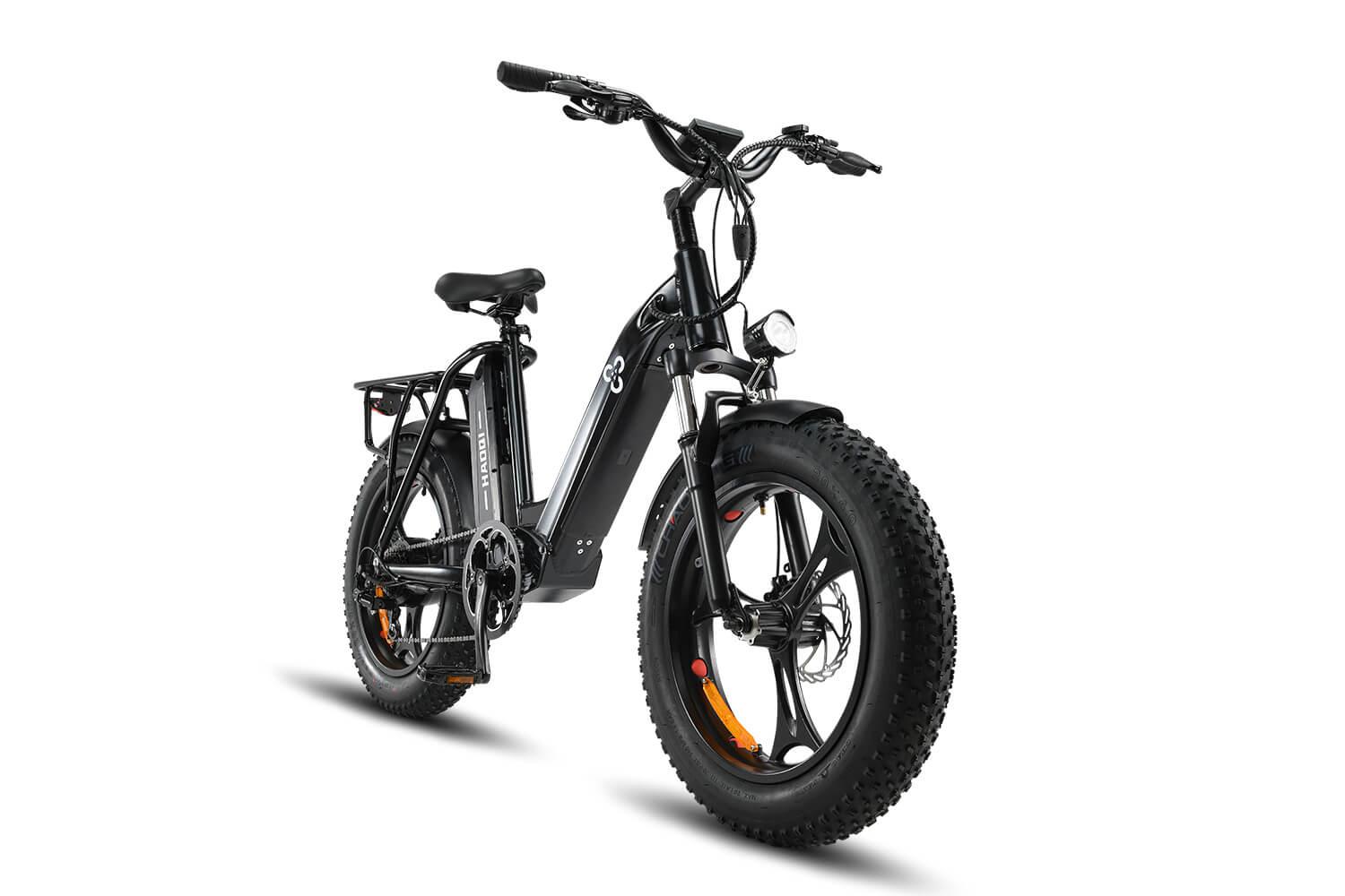 HAOQI Antelope 500W Cargo Electric Bike