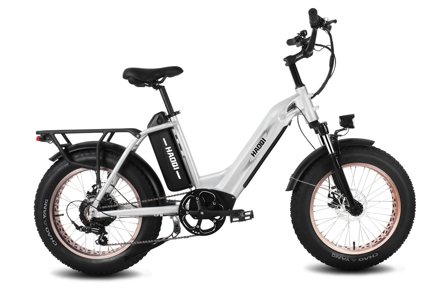 HAOQI Antelope Pro 750W Cargo Electric Bike