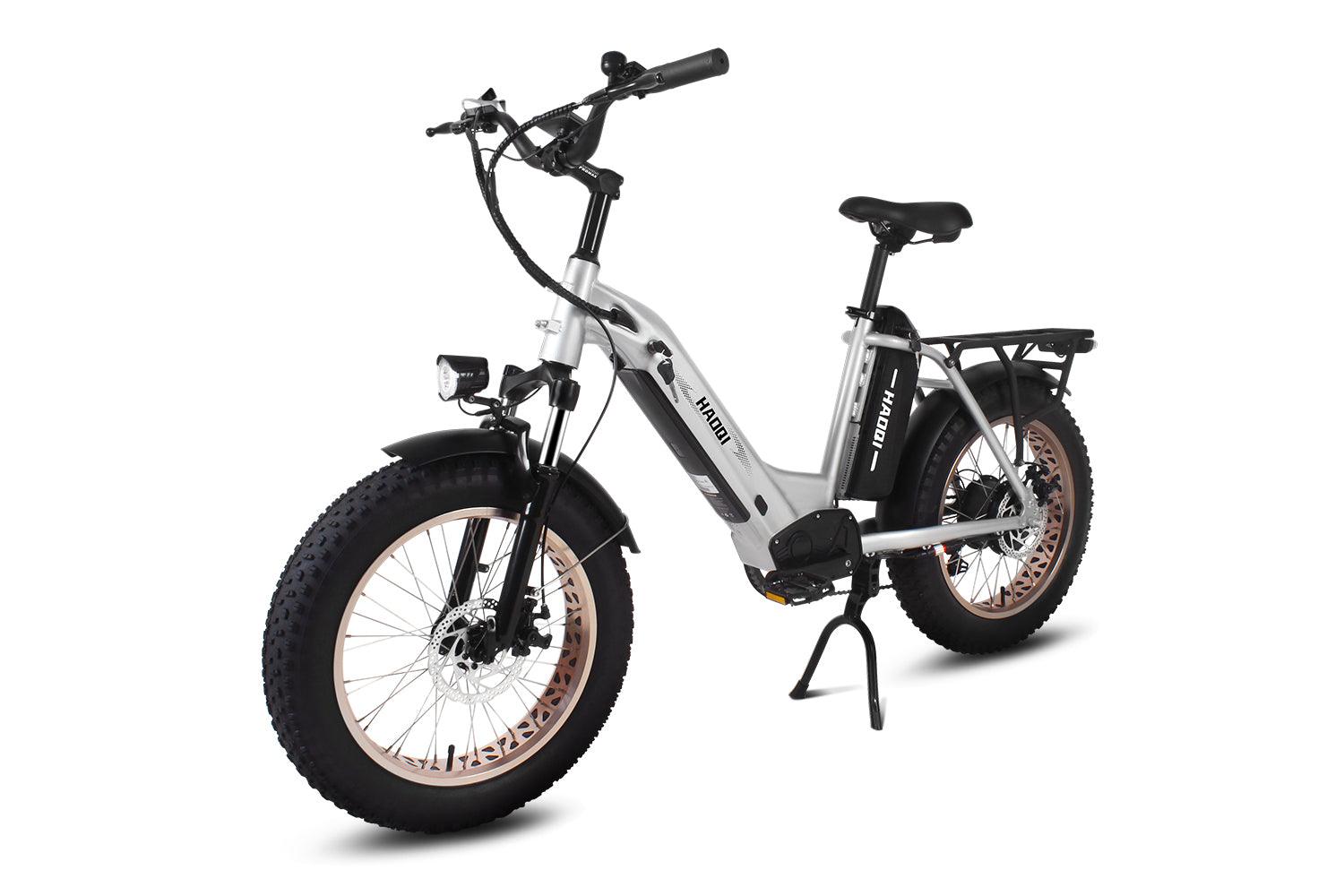 HAOQI Antelope Pro 750W Cargo Electric Bike